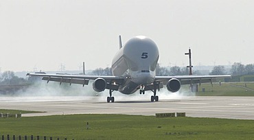 Aeroplane Airbus Beluga taking off, Hamburg, Germany, Europe