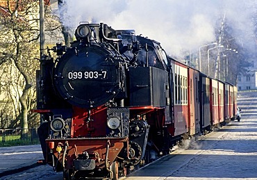 Schmalspurbahn Molli, a narrow-gauge railway, historic steam train, Bad Doberan, Baltic Sea, Mecklenburg-Western Pomerania, Germany, Europe