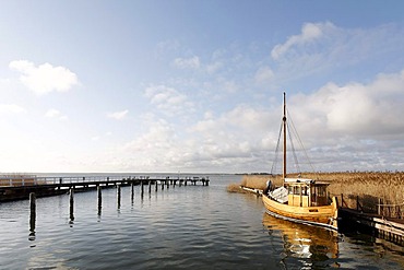 Traditional, small wooden boat anchored in a harbour on the bodden, morning mood, holiday area of Born am Darss, Fischland-Darss-Zingst, Mecklenburg-Western Pomerania, Germany, Europe