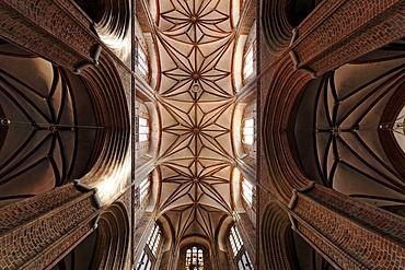 Gothic Basilica of St. Nicolai, look into the starry vault, old town, Lueneburg, Lower Saxony, Germany, Europe