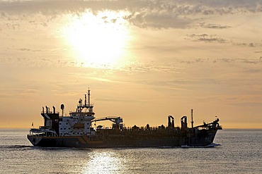 Cargo boat on the sea, sunset, Zoutelande, Walcheren peninsula, Zeeland province, Netherlands, Benelux, Europe