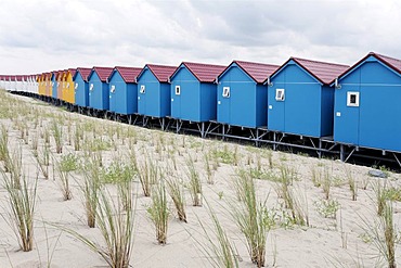 Protective dune planted with beach grass, colorful beach huts, Vlissingen, Walcheren, Zeeland, Netherlands, Benelux, Europe