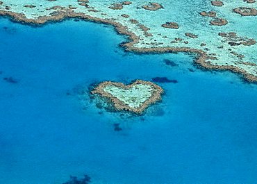 Aerial view of the ocean floor, Heart Reef, heart-shaped reef, Great Barrier Reef World Heritage Area, Great Barrier Reef, UNESCO World Heritage Site, Queensland, South Pacific, Australia