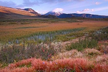 Autumn on the plateau in Jotunheimen National Park, Oppland, Norway, Europe