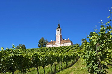 Wallfahrtskirche Birnau Marian pilgrimage church, Birnau, Lake Constance, Baden-Wuerttemberg, Germany, Europe