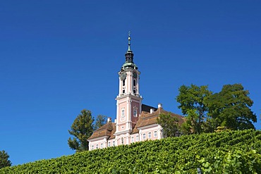 Wallfahrtskirche Birnau Marian pilgrimage church, Birnau, Lake Constance, Baden-Wuerttemberg, Germany, Europe