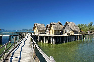 Pfahlbaumuseum open air stilt hous museum in Unteruhldingen, Lake Constance, Baden-Wuerttemberg, Germany, Europe