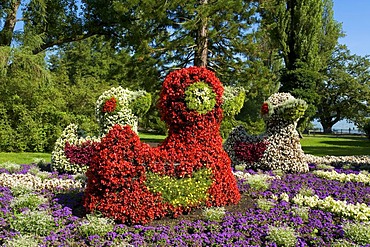 Flower sculpture on Mainau flowering island, Lake Constance, Baden-Wuerttemberg, Germany, Europe