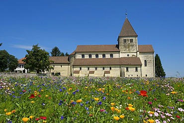 Georgskirche church in Oberzell, Reichenau island, Lake Constance, Baden-Wuerttemberg, Germany, Europe