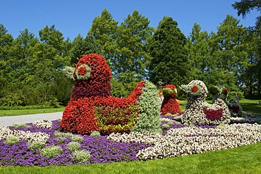 Flower sculpture on Mainau flowering island, Lake Constance, Baden-Wuerttemberg, Germany, Europe