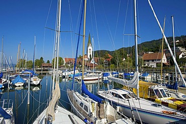 Marina of Sipplingen, Lake Constance, Baden-Wuerttemberg, Germany, Europe