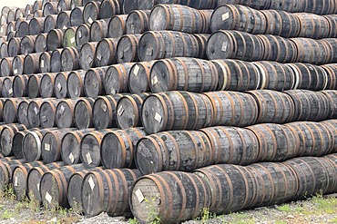 Stacked wooden whiskey barrels, oldest licensed whiskey distillery in the world, Locke's Distillery, Kilbeggan, Westmeath, Midlands, Republic of Ireland, Europe