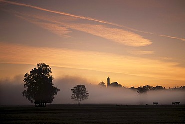 The church of Seeg in early morning fog, Ostallgaeu, Bavaria, Germany, Europe