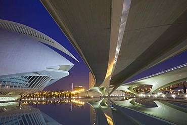 Opera house Palacio de las Artes Reina Sofia, La Ciudad de las Artes y las Ciencias, City of Arts and Sciences, Valencia, Comunidad Valencia, Spain, Europe