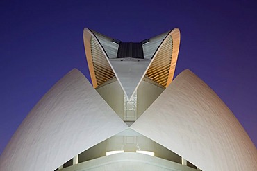 Opera house Palacio de las Artes Reina Sofia, La Ciudad de las Artes y las Ciencias, City of Arts and Sciences, Valencia, Comunidad Valencia, Spain, Europe