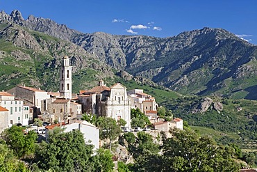 Montemaggiore, Balagne, Corsica, France, Europe