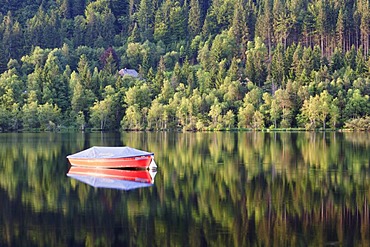 Boat on Lake Titisee, Titisee-Neustadt, Black Forest, Baden-Wuerttemberg, Germany, Europe