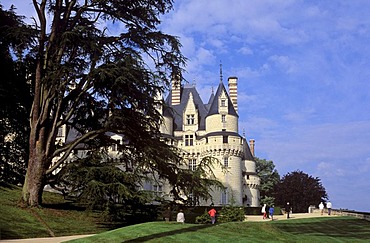 Usse Castle, Chateaux of the Loire Valley, Indre-et-Loire, Loire Valley, Centre, France, Europe