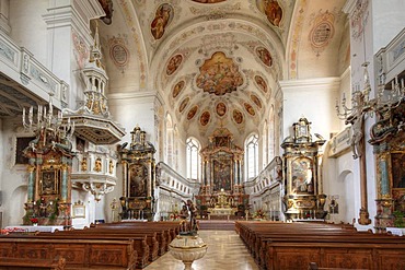 St. Peter's Basilica, Dillingen an der Donau, Donauried region, Swabia, Bavaria, Germany, Europe