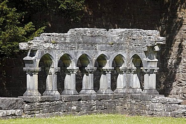 Remains of the cloister, Cong Abbey, County Mayo, Connacht, Republic of Ireland, Europe