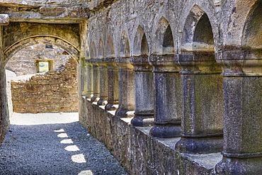 Cloister, Ross Abbey near Headford, County Galway, Connacht, Republic of Ireland, Europe