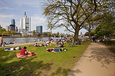 People sunbathing at the waterfront of the Main river, popular meeting point in summer, financial district at back, Frankfurt, Hesse, Germany, Europe