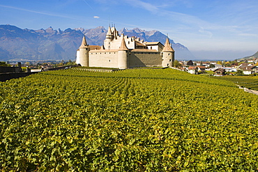 Chateau d'Aigle in the vineyards of Lausanne, Canton of Vaud, Switzerland, Europe