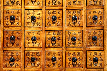 Detail of a Chinese pharmacy cabinet, from 1829-1850, Villa & Ambiente, Im Weller 28, Nuremberg, Middle Franconia, Bavaria Germany, Europe