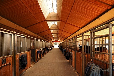 Large horse barn, interior, for 45 horses, Eckental, Middle Franconia, Bavaria, Germany, Europe