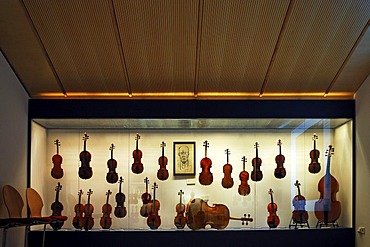 Exhibition room, display case with string instruments, Geigenbaumuseum violin museum, Ballenhausgasse 3, Mittenwald, Upper Bavaria, Bavaria, Germany, Europe