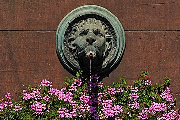 Lion head spouting water on the Grossherzog-Ludwig-Denkmal Brunnen memorial fountain, marketolace, Karlsruhe, Baden-Wuerttemberg, Germany, Europe