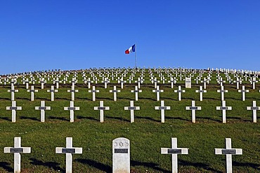 Crosses in the military cemetery on the Blutberg mountain, with a French flag, Sigolsheim, Alsace, France, Europe