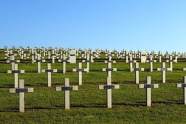 Crosses in the military cemetery on the Blutberg mountain, Sigolsheim, Alsace, France, Europe