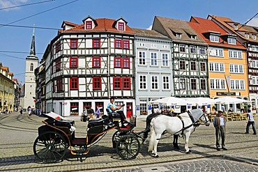 Horse-drawn carriage for tourists, Domplatz cathedral square, Erfurt, Thuringia, Germany, Europe