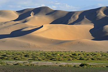 Lush green grass landscape in front of the large sand dunes Khorgoryn Els in the Gobi Desert, Gurvan Saikhan National Park, Oemnoegov Aimak, Mongolia, Asia