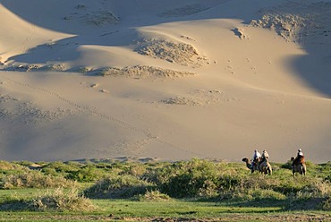 Tourists on camel riding through a lush green grass landscape towards the great Khorgoryn Els sand dunes in the Gobi Desert, Gurvan Saikhan National Park, Oemnoegov Aimak, Mongolia, Asia