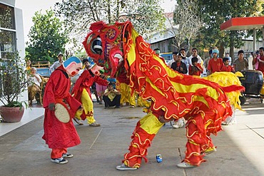 Dragon dance, Chinese New Year, Kampong Thom, Cambodia, Indochina, Southeast Asia