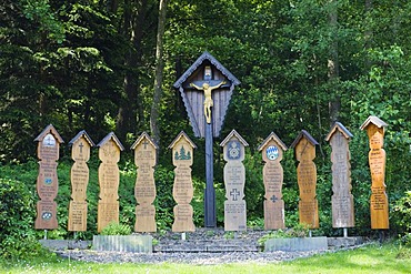 Dead boards near Cham, Bavarian Forest National Park, Lower Bavaria, Germany, Europe