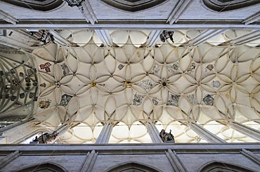 Interior view, cross vault, St. Barbara Church, Kutna Hora, Czech Republic, Europa