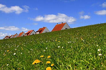 Houses, East Frisia, Juist, Lower Saxony, Germany, Europe