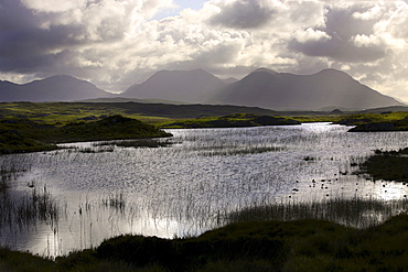 Connemara landscape at sunrise, Roundstone, County Galway, Republic of Ireland, Europe