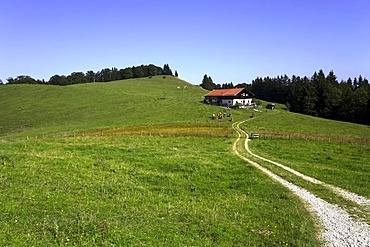 Roadway to an Alpine cottage, Chiemgau, Upper Bavaria, Germany, Europe