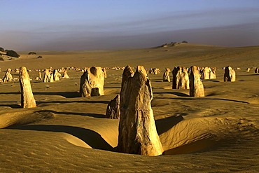 Pinnacle sandstone formations, Nambung National Park, Western Australia, Australia