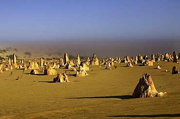 Pinnacle sandstone formations, Nambung National Park, Western Australia, Australia