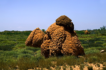 Giant ant hill or termite nest, Western Australia, Australia