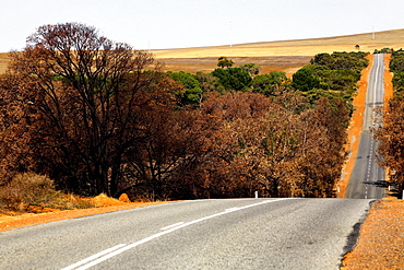 Road through countryside, Western Australia, Australia