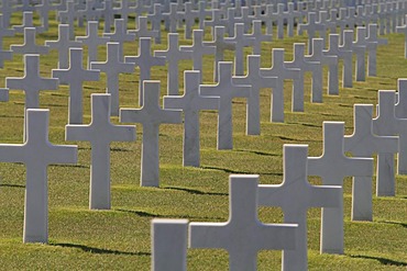 Graves at the Normandy American Cemetery and Memorial above Omaha Beach, site of the landing of the Allied invasion forces on D-Day 6 June 1944, Second World War, Calvados, Region Basse-Normandie, Normandy, France, Europe