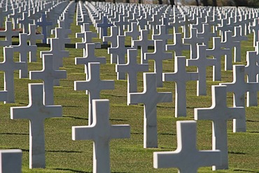 Graves at the Normandy American Cemetery and Memorial above Omaha Beach, site of the landing of the Allied invasion forces on D-Day 6 June 1944, Second World War, Calvados, Region Basse-Normandie, Normandy, France, Europe