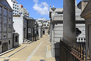 La Recoleta Cemetery, Buenos Aires, Argentina, South America