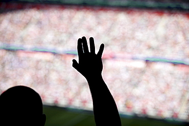 Spectators in a stadium during a football match